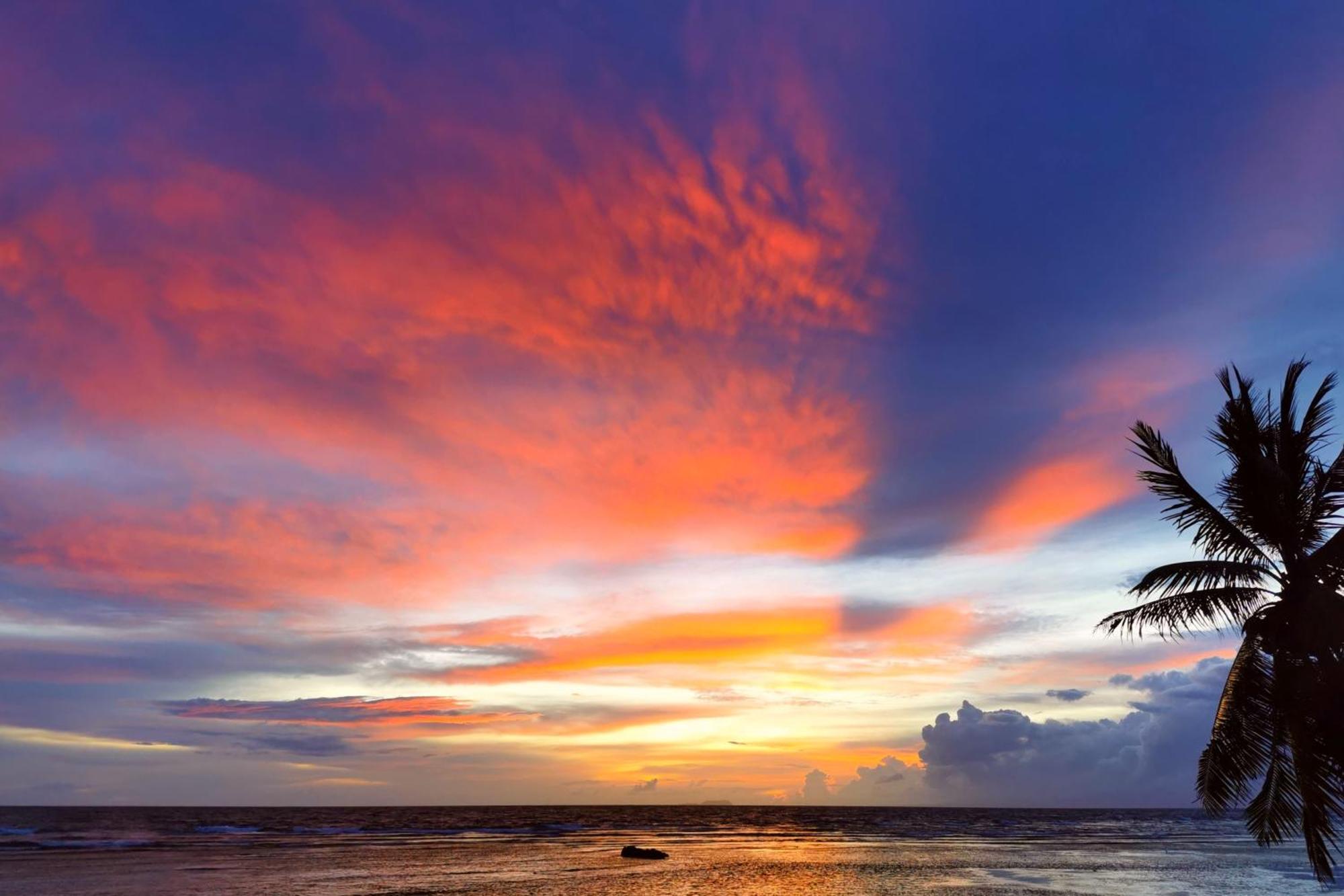 Blue Joys Msr Ξενοδοχείο Siquijor Εξωτερικό φωτογραφία